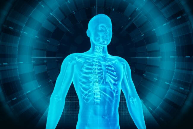 3D see-through image of a human body, in a cyborg-like design