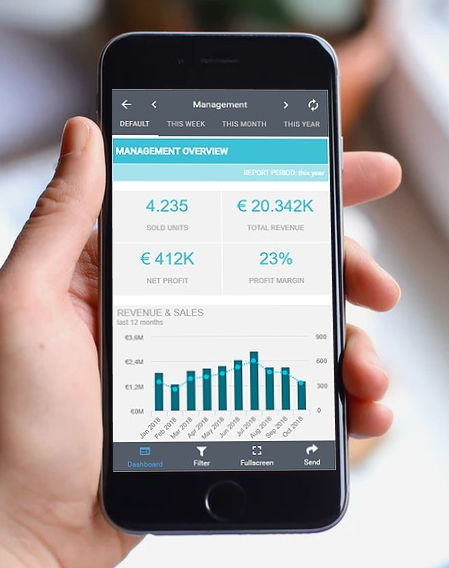 mobile dashboard example #3: Management