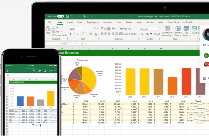 A visual interface from Microsoft Excel