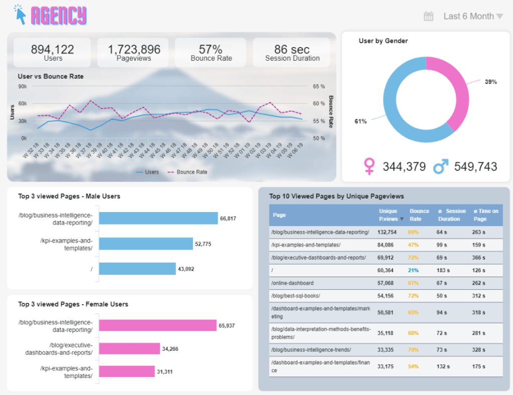 White label dashboard example for a digital marketing agency 