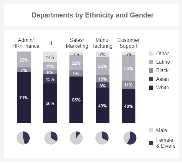 HR recruitment metric tracking the ethnicity and gender share by departments 