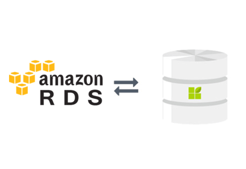 Amazon RDS (AWS) zu datapine Verbindung