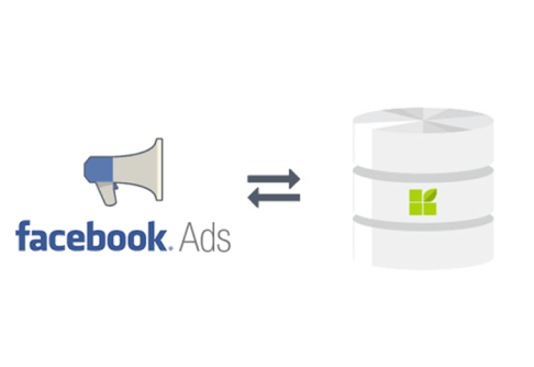 Facebook Ads zu datapine Verbindung