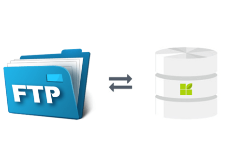 FTP Server zu datapine Verbindung