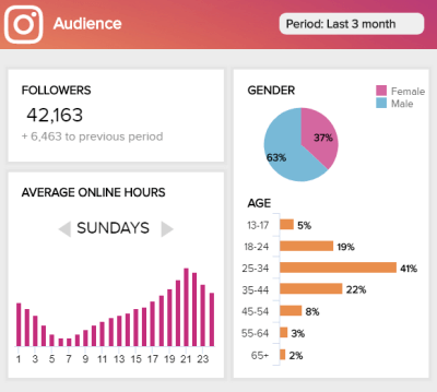 Instagram KPI Beispiel erstellt aus Instagram Daten mit datapine
