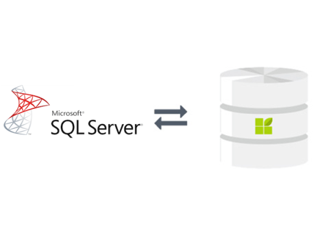 MS SQL Server zu datapine Verbindung