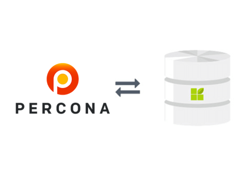 Percona zu datapine Verbindung