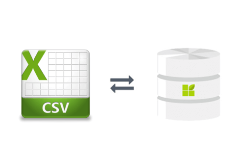 CSV connection to datapine