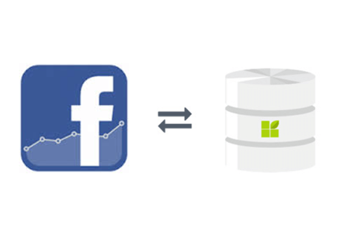 Facebook Posts to datapine connection