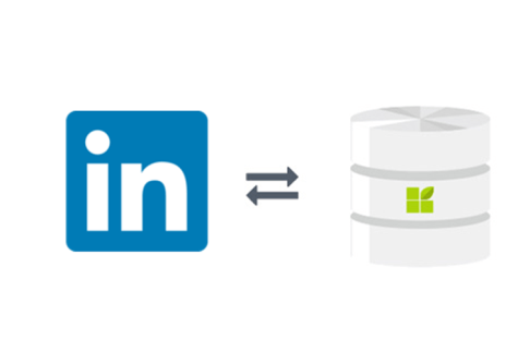 LinkedIn connection to datapine