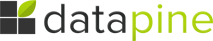 Logo of datapine software