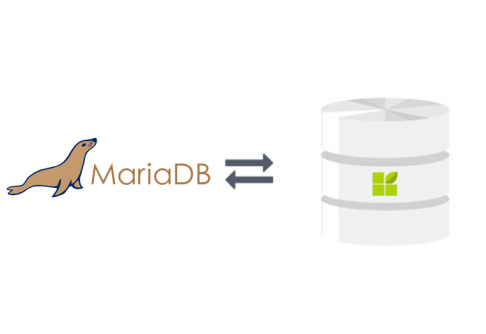 Maria DB connection to datapine