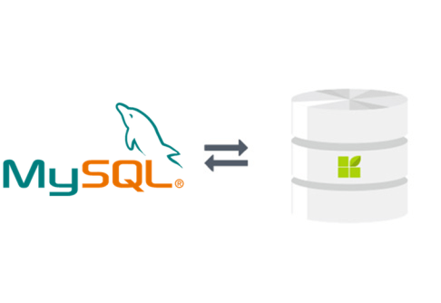 MySQL connection to datapine