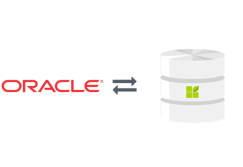 Oracle to datapine connection